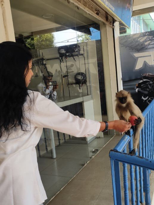 A monkey representing the importance of animal care and compassion